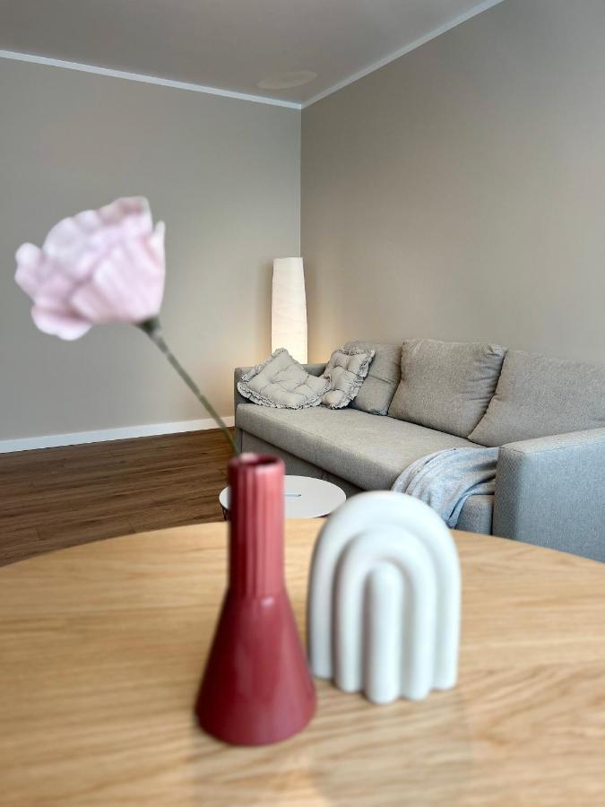 Skandi Appartments In Saldus City Center Kültér fotó