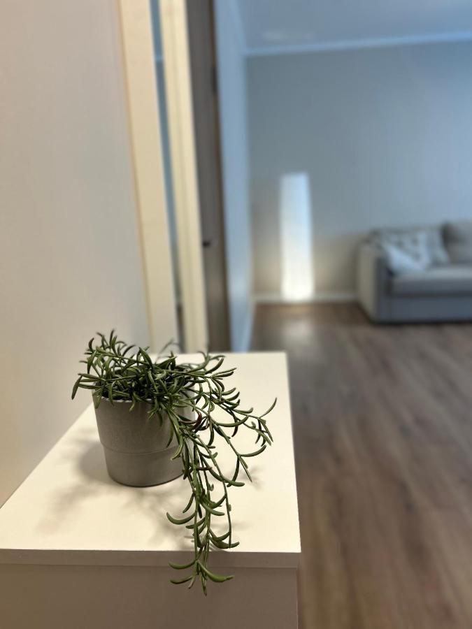 Skandi Appartments In Saldus City Center Kültér fotó