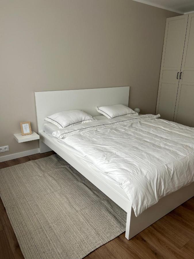 Skandi Appartments In Saldus City Center Kültér fotó